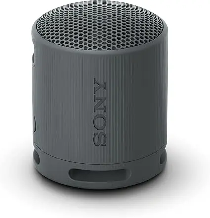 Sony SRS-BX 100